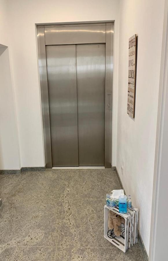 Ferienwohnung Zur Dexter-Zucht Coswig Coswig  Zewnętrze zdjęcie