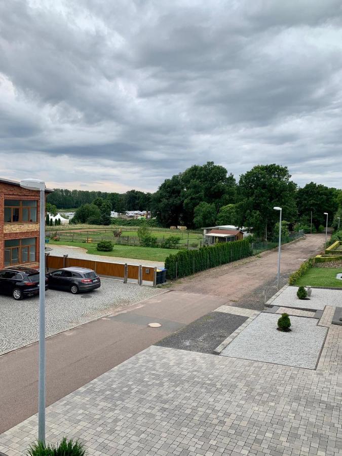 Ferienwohnung Zur Dexter-Zucht Coswig Coswig  Zewnętrze zdjęcie