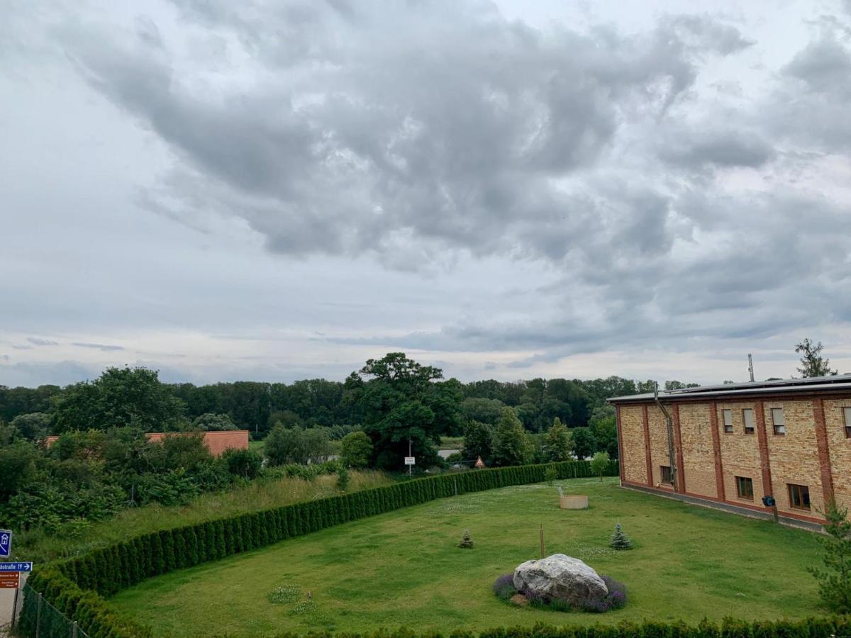 Ferienwohnung Zur Dexter-Zucht Coswig Coswig  Zewnętrze zdjęcie