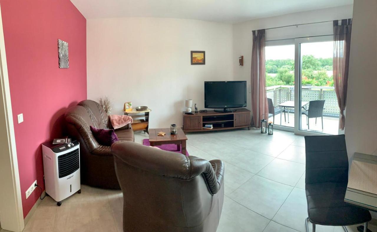 Ferienwohnung Zur Dexter-Zucht Coswig Coswig  Zewnętrze zdjęcie